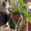 KIT DIY MACRAME <br>Porte Plante mural <br>N 4 – Image 7